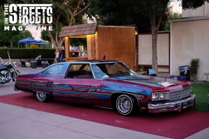 Fresno Lowrider Show (20)